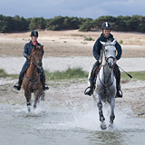 Running horses